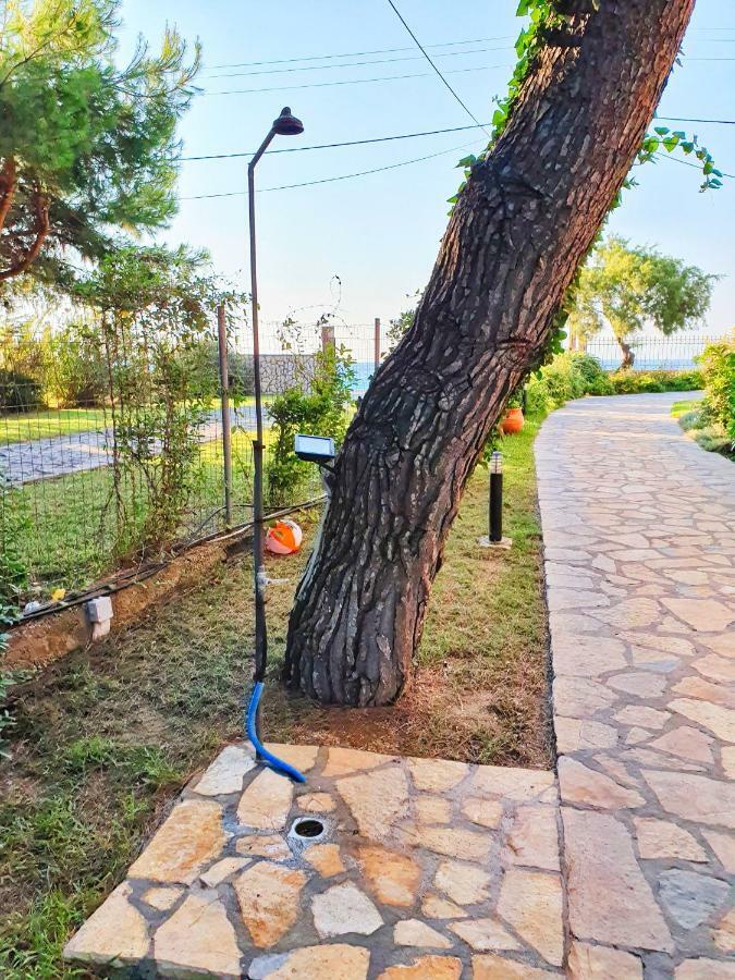 Makis&Fani Homes Agios Ioannis  Esterno foto